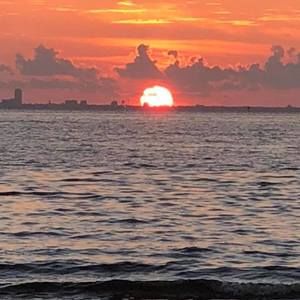 Meet your Posher, Beba